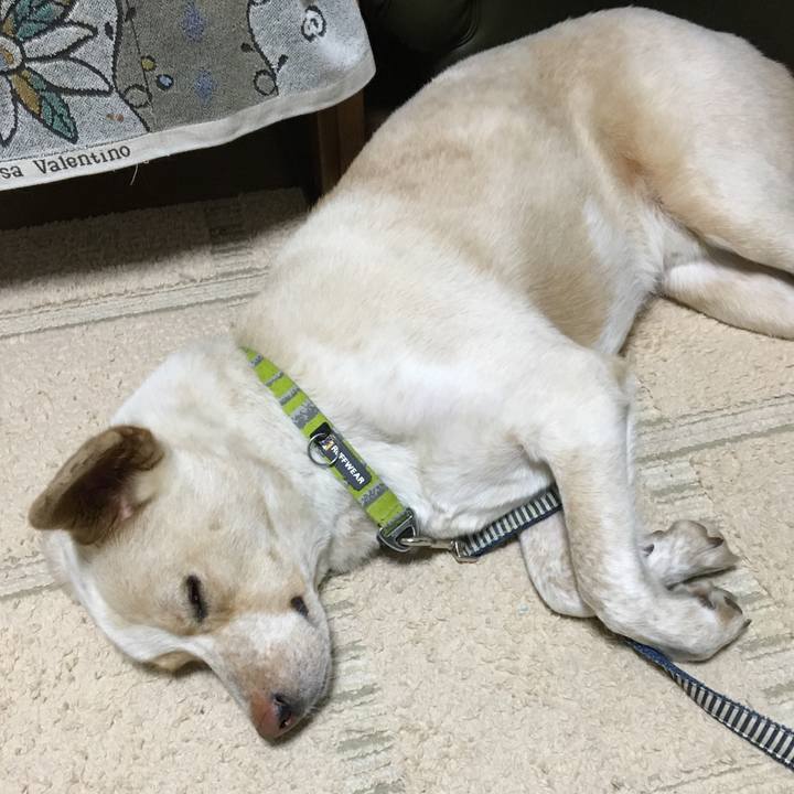 42f86bd2 8138 4cbd b022 d0eeaafe2ea1