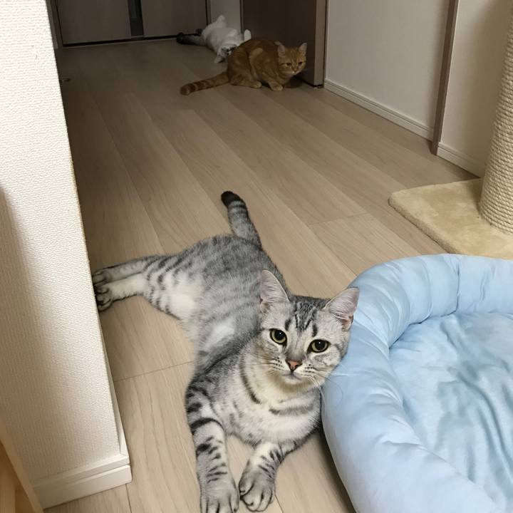 42f95f28 6936 4feb a3b6 6afcd8e0700e