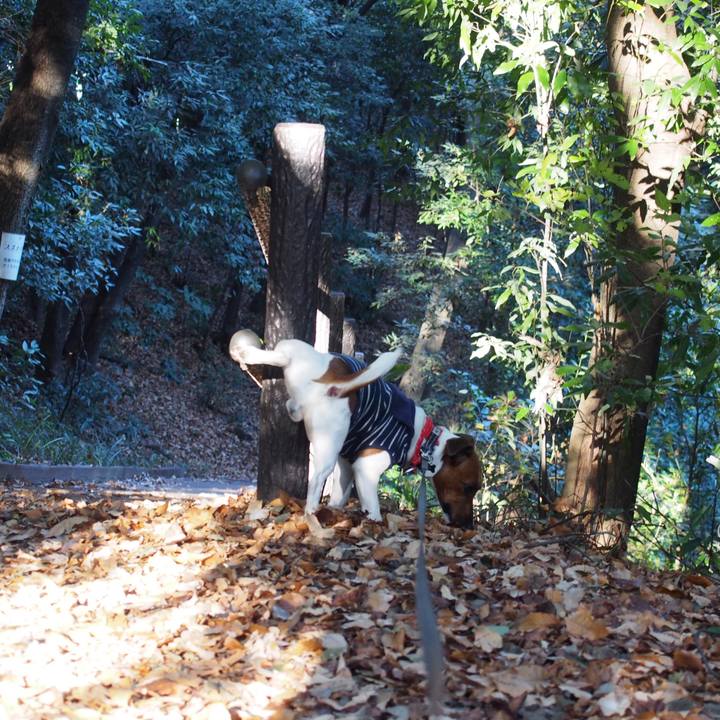 42f98354 bd41 43e1 b76b 06f0fd95d622