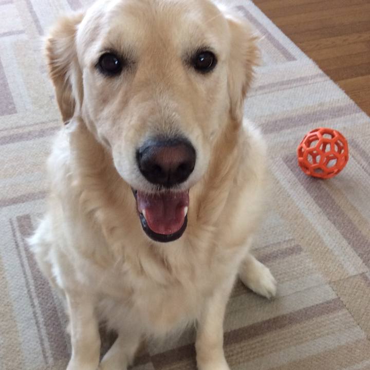 42fa32c2 554f 4b70 af1b 96bd69f6fced