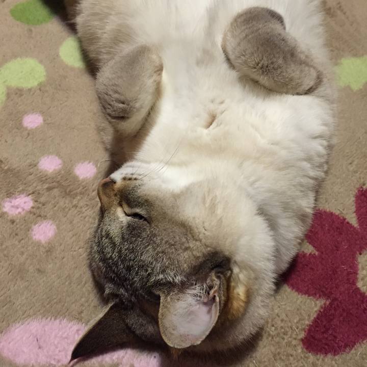 42facbd1 6b31 4b24 b6c6 b68288584789