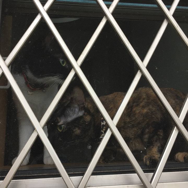 42fb28ba 2e7a 4bc6 8b22 9d3a6d9a15d9