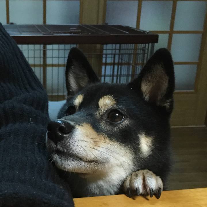 42fb4a58 fd7f 412c 89cc a8b31be5e726