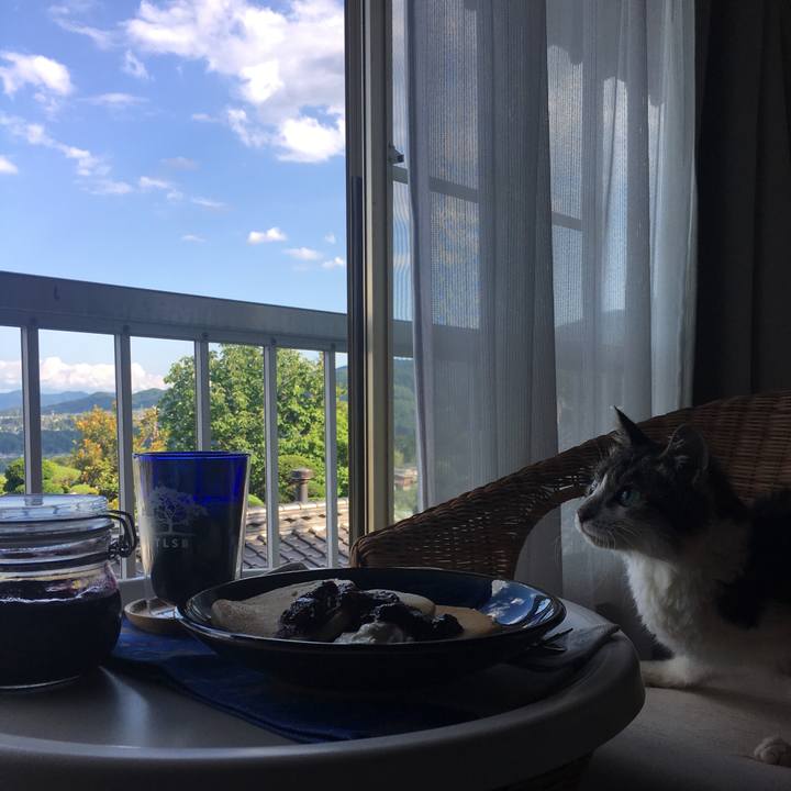 42fb9f5f d843 42d0 9fdb a1e46f18180e