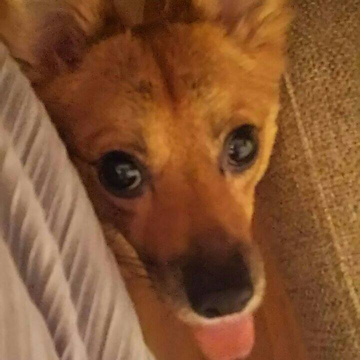 42fbeffb 7906 4940 8060 6d83b7f26480