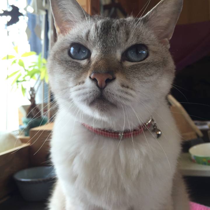 42fc3bd8 f3ce 4d7f 9885 65a715dd06af