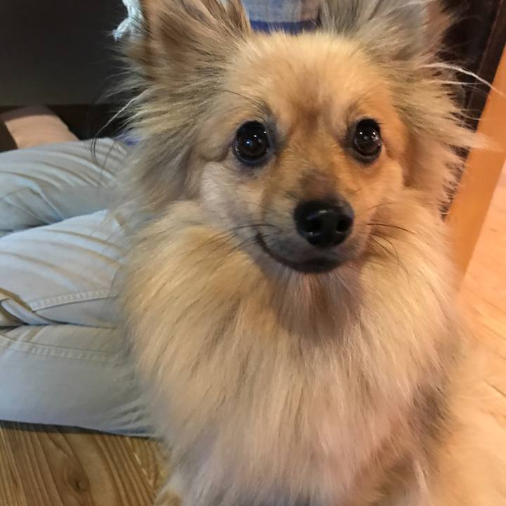 42fc7f93 d8d0 4f64 9c55 d253d492a58c