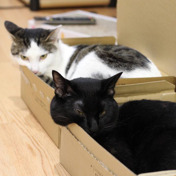 42fccbf0 ff66 4b12 bc21 c71e519ddf5d