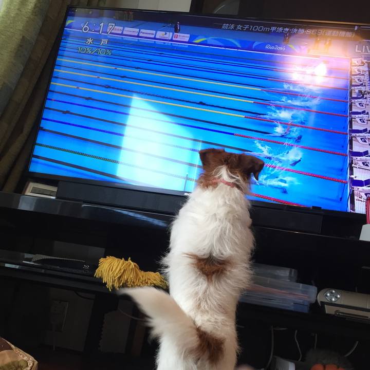 42fcfddf b2c6 44f0 9384 298361474303