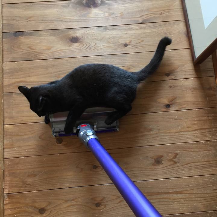 42fd2fc5 8b71 41df 87ba 0047b2c62f94