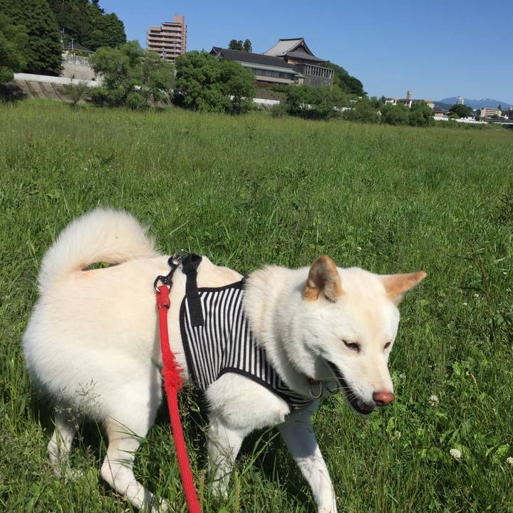 42fd51d7 7230 4c23 b79e 9b021ec16a39