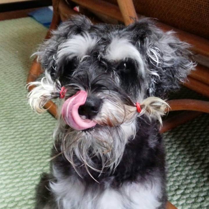 42fd60b2 9a28 4994 8c53 dbb0092fadc2