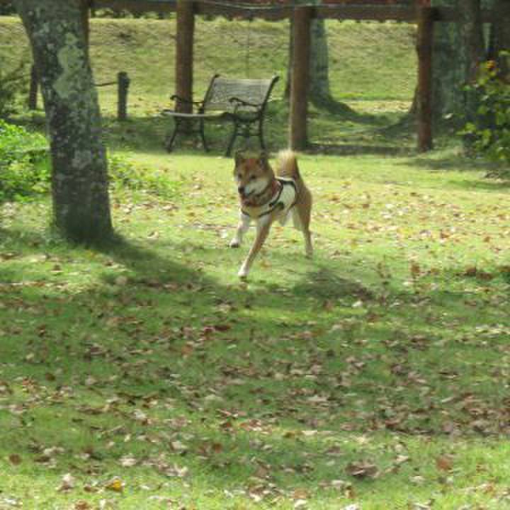 42fd9bd5 e9c0 425f 9bc5 501567d8bb5f