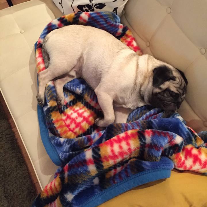 42fe2ca7 93bb 42ea b744 de7e721f27e5