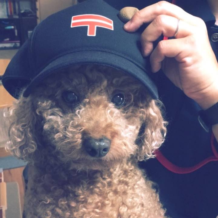 42fe3bde 788c 467a 9539 d39392ec5bf9