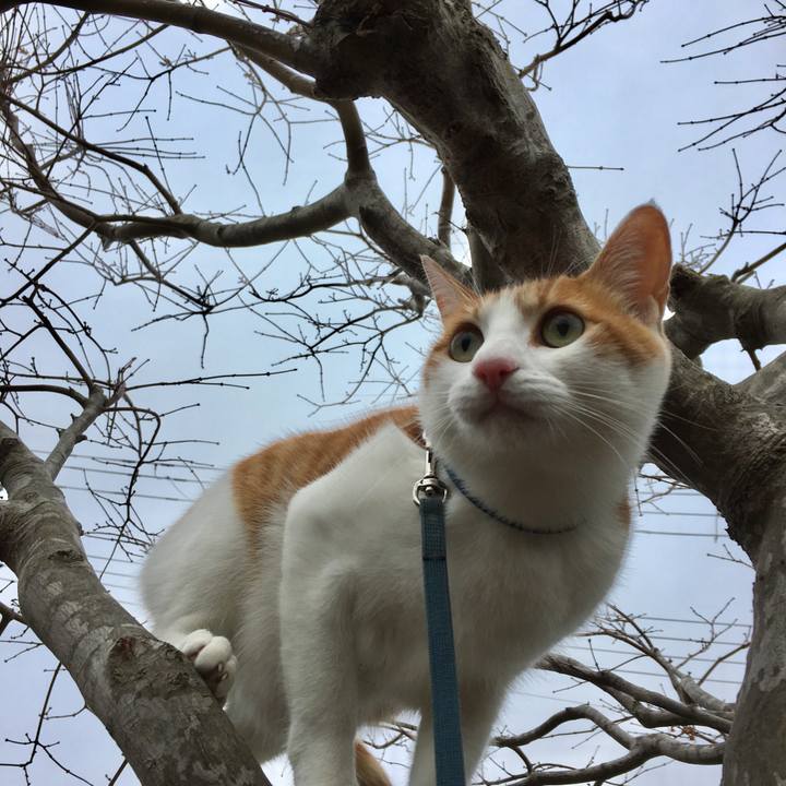 42fe994e 1e33 4f45 beab 45fdc1ecffe2