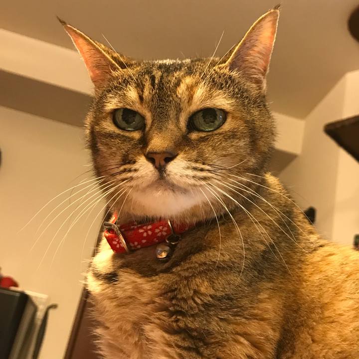 42fee5f3 12ed 49e9 9dbc 34506ef4debb