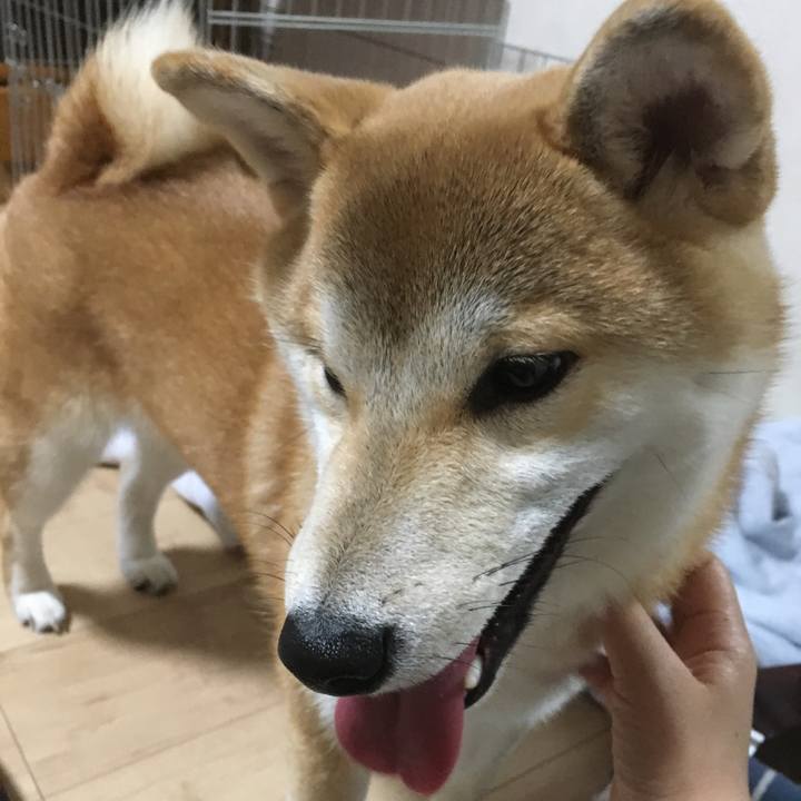 42ff2d28 ee03 4a22 b00e 780a870c937b