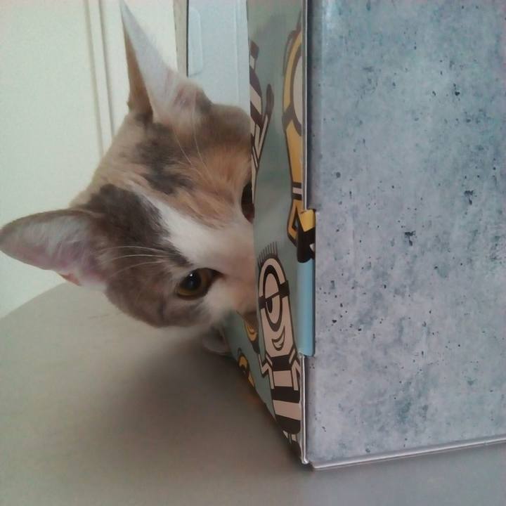 42ff4261 f4e1 4a8e bb7d aad5dcc00126