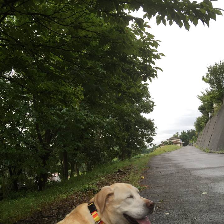 42ffb073 52a2 4fa0 9385 58b646901966