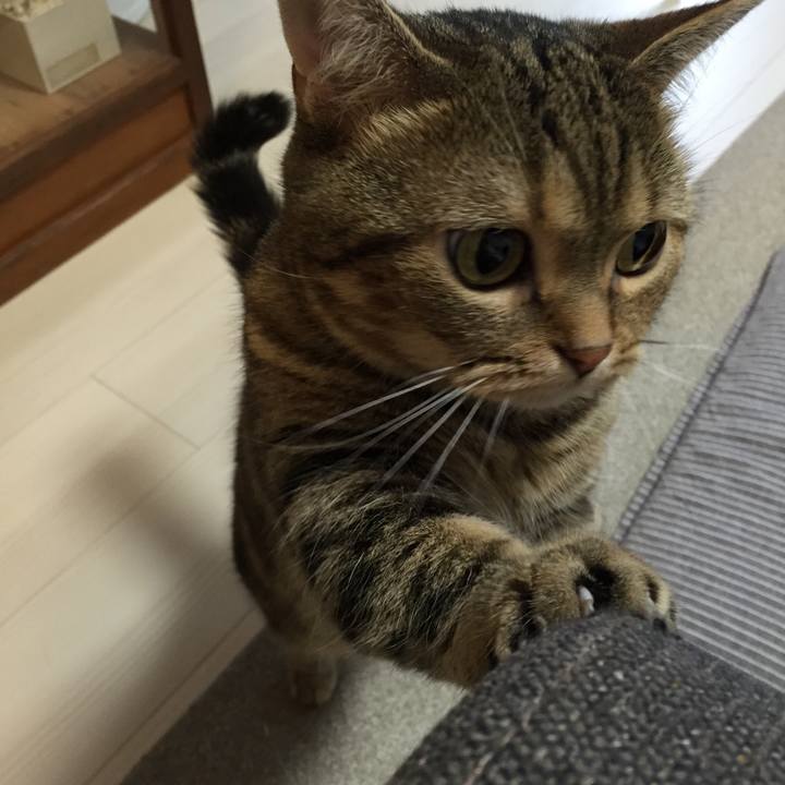 430028ea d1d6 4f07 8376 2f109b950067