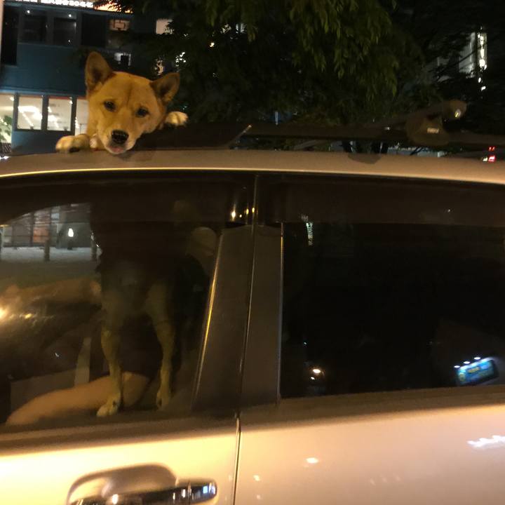 4300b813 7e97 4e22 84ad 7478fed80677