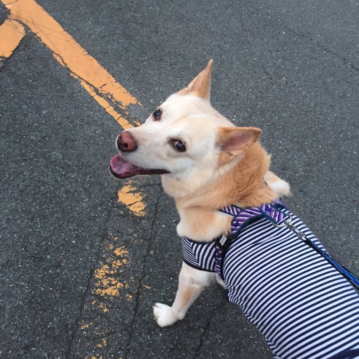 430132ba 0e72 48d7 b61e 36cee60e9c92