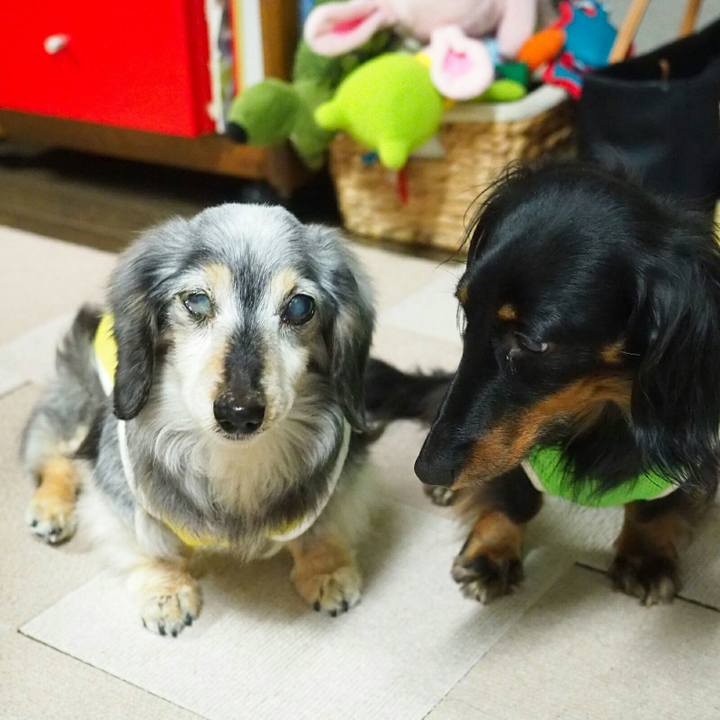 4303323f 0ffd 486c acbe c187a53baf38