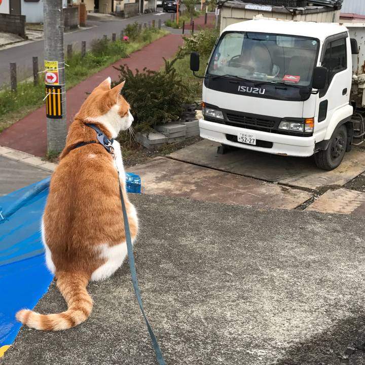 43035214 5d47 4666 a063 e99269c2aea1