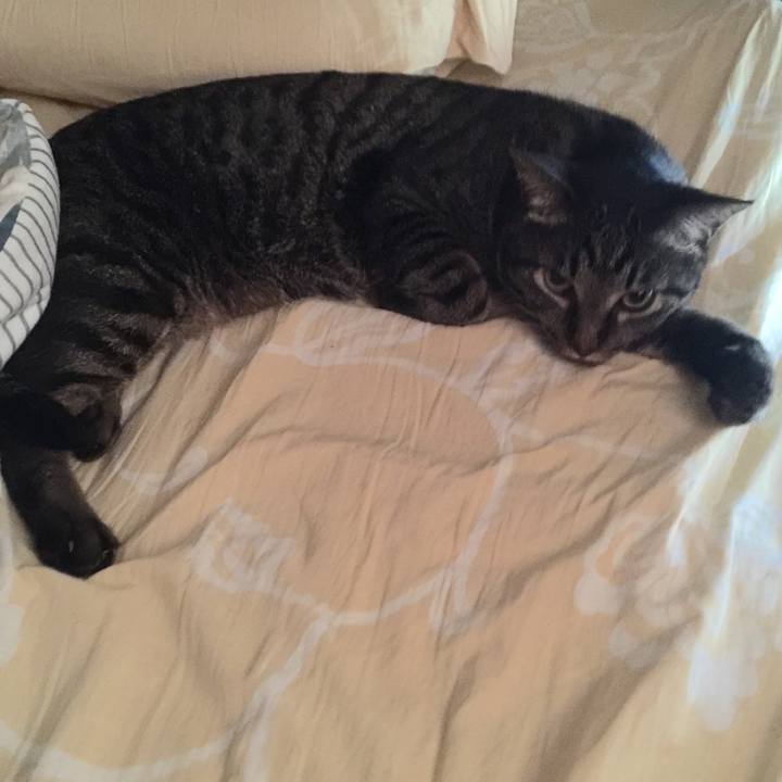 43035b4e b243 4b9e b6e8 c4cdaff3d88d