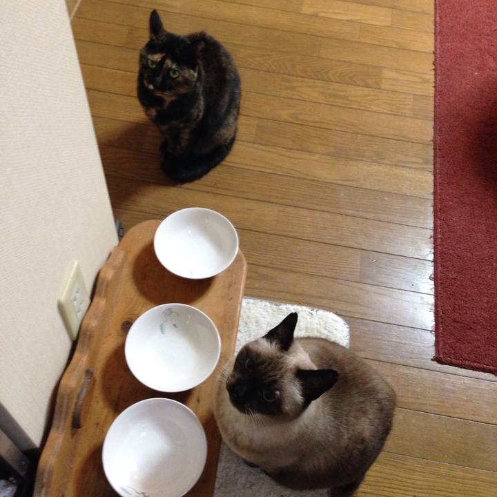 43042a5c 83ee 4c9c 9fdd 7123084b4bbe