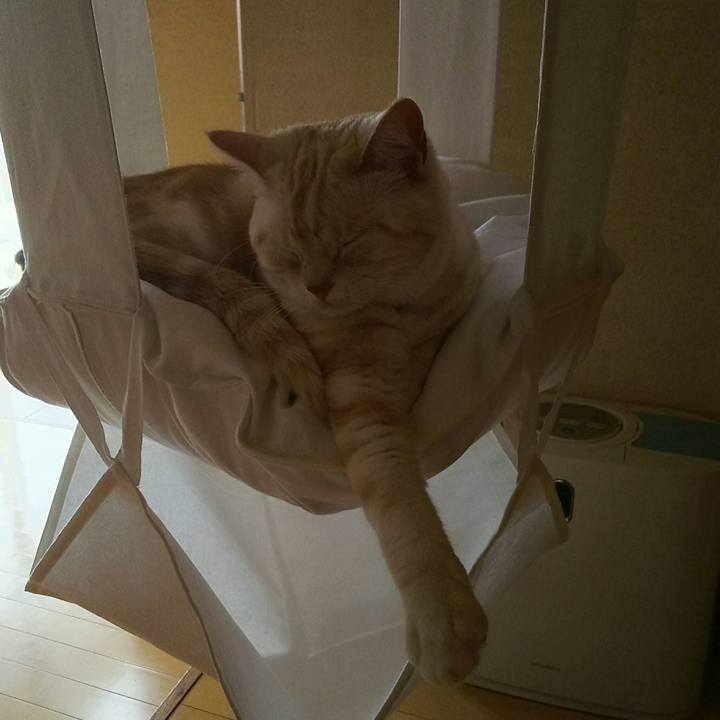 43047edd 6ab8 4fa0 964d 372626099364