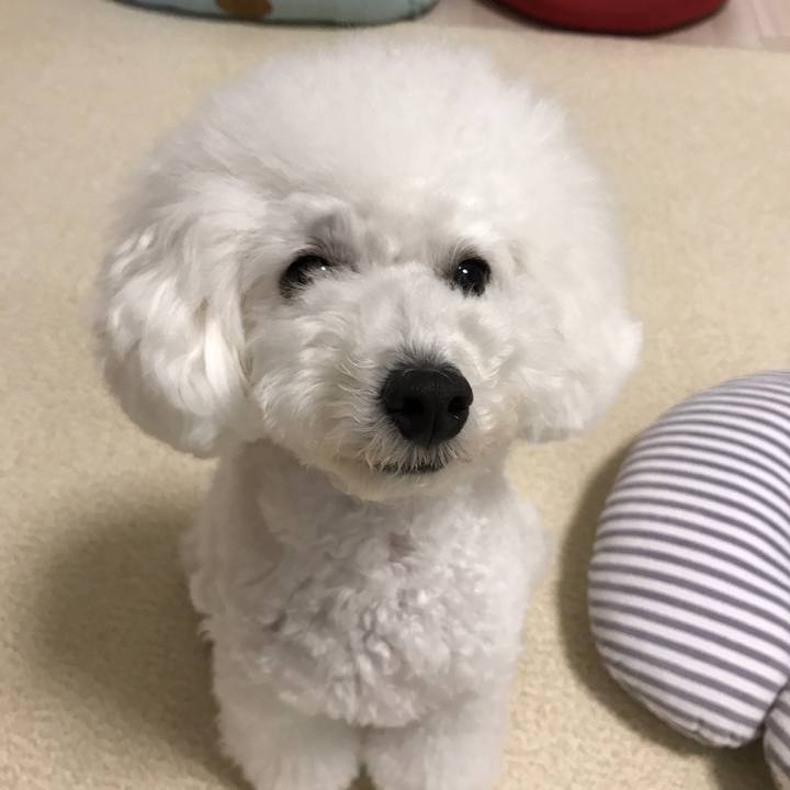 4304df9e cdf8 49db 9fa5 deb9469bcc25