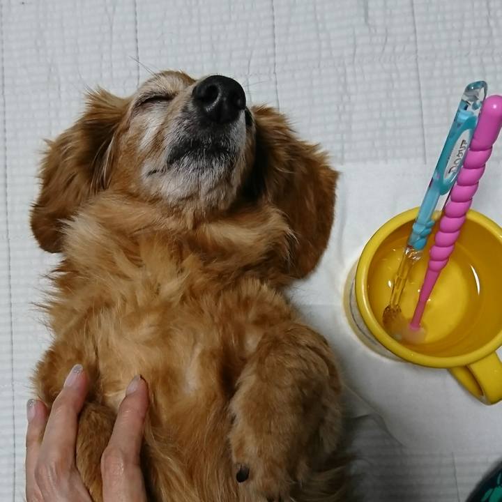 43053b7b 76de 4421 a619 5d903efba7a8