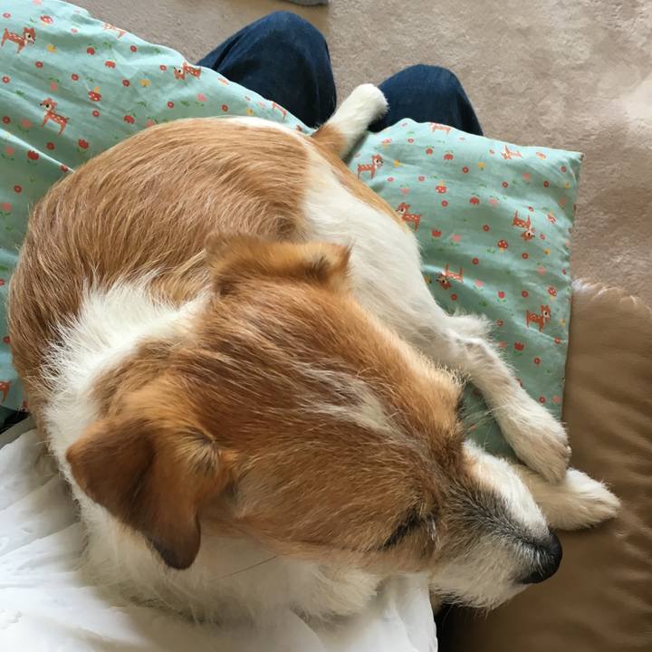 43058d83 32e0 4a1f 981d a762c76da603