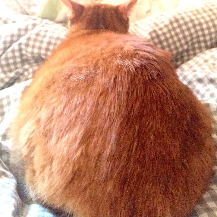 43068726 b705 47e5 bdb5 16f0bb40f098