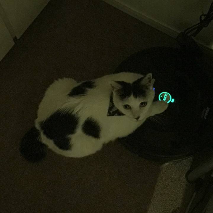 43070911 9ff2 4f99 b66b 2e90febfb83d