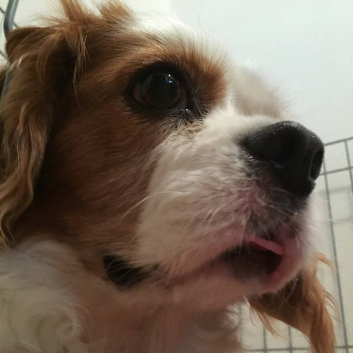 43073678 02ea 4089 acef 547035865d61