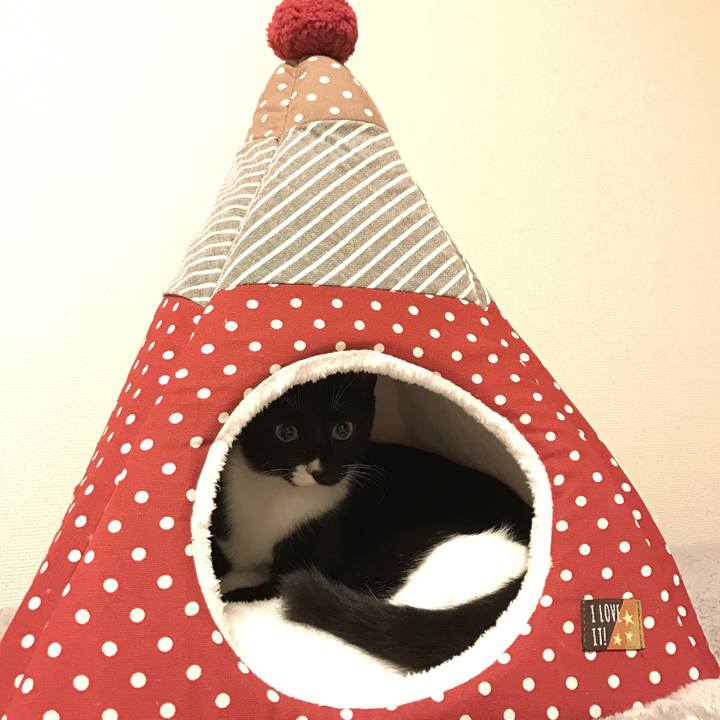 4307856a b725 4e6a abf8 1dd165be1830