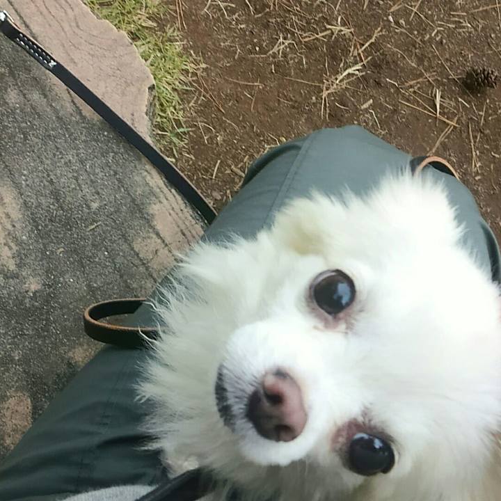 4307a7a2 f15d 482f 974f aef801b1df39