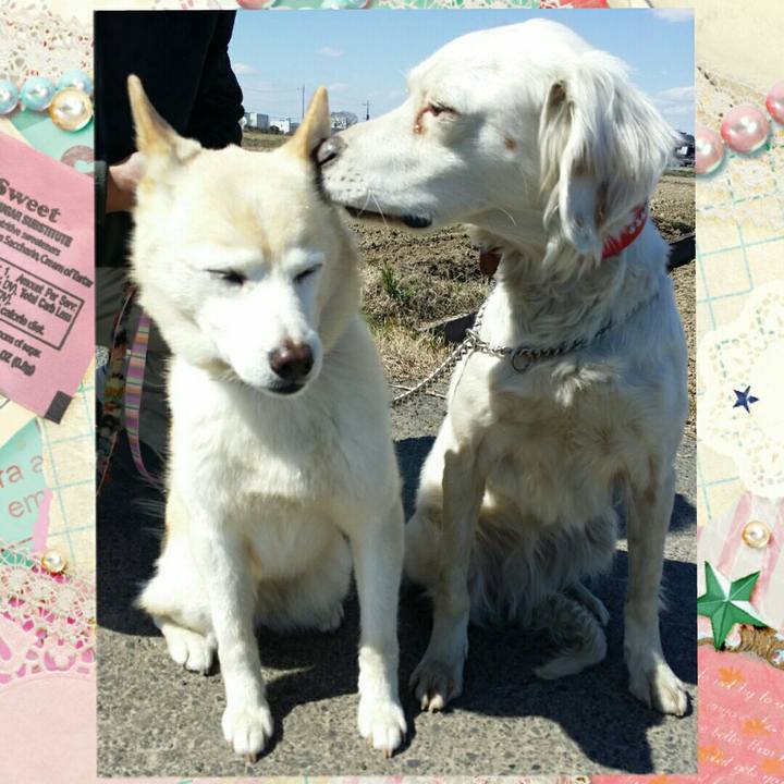 430909d9 4032 48b1 b451 eef99207580b