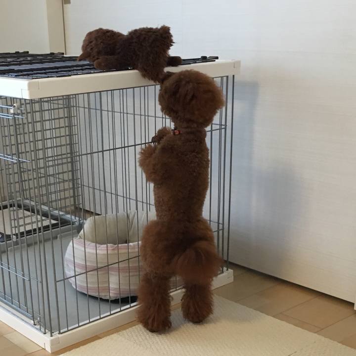 430960e2 140d 4282 b503 ce33ed0d419e