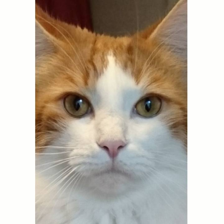 43096cc0 36fe 4714 ae13 66446205fd53