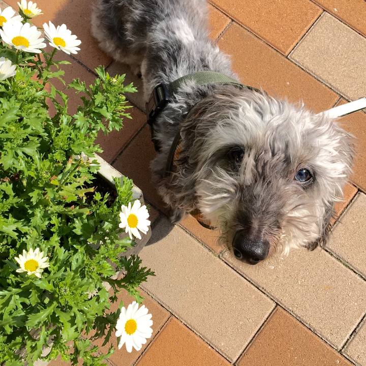 43098290 a95e 45ad b00c ca11b3b1a66e