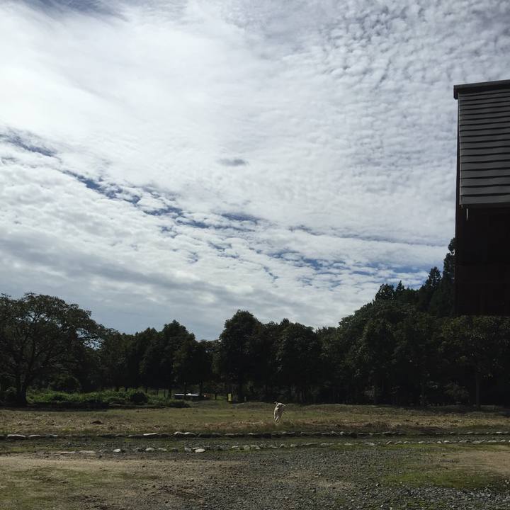 430982c5 556f 4759 a6eb 9d23f707466b