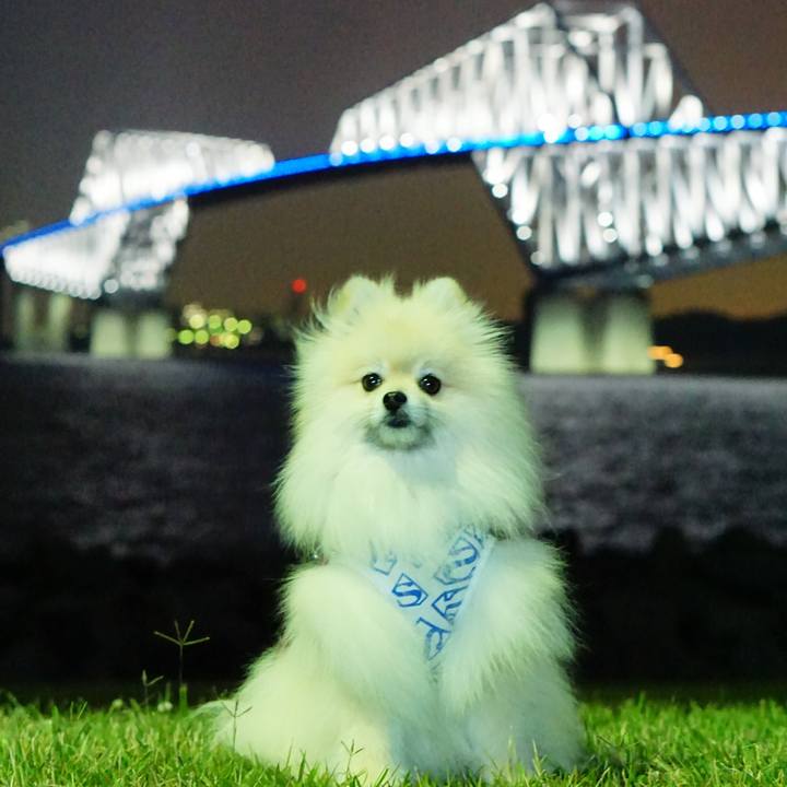 430992f5 04c0 46c0 9c05 e33f0d2f4670