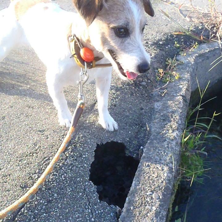 43099c0a fa53 4110 b93a 9f50a07e4588