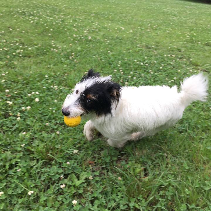 430a8e3b 1059 428a b50c 50ea49aeacdf