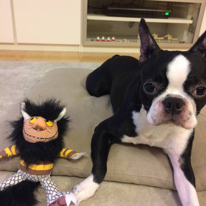 430c0010 4602 41b5 8dbc 08af4f8a6abe