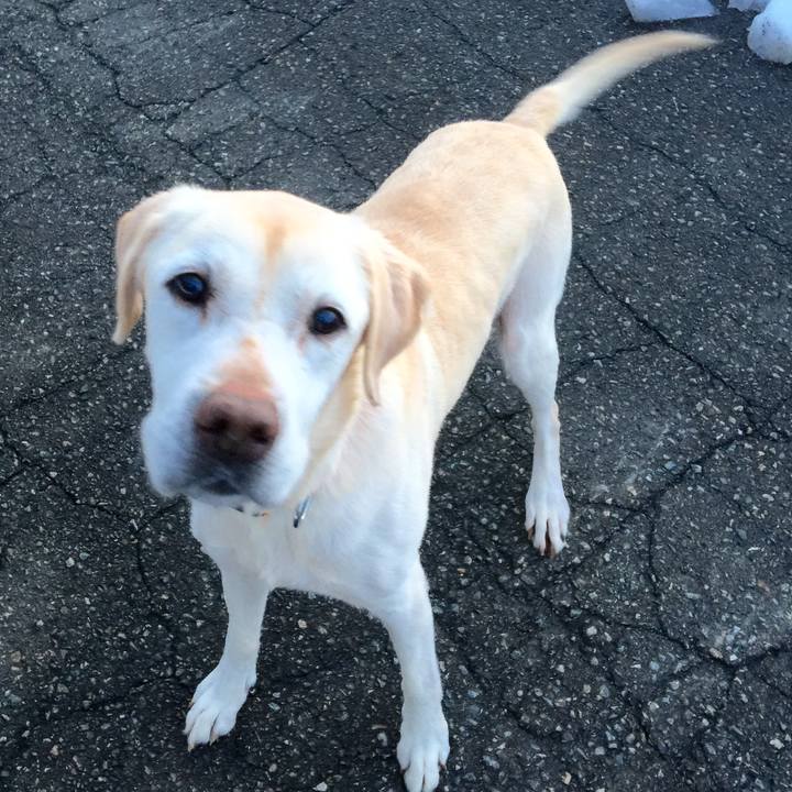 430c1052 0f26 4bec b037 003e756d9fd1